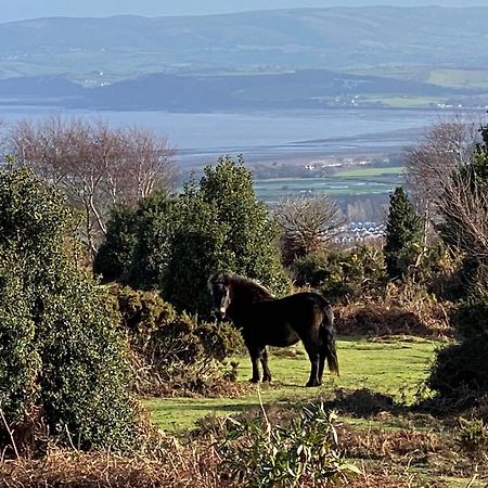 Exmoor Retreat On Two Moors Way Withypool מראה חיצוני תמונה