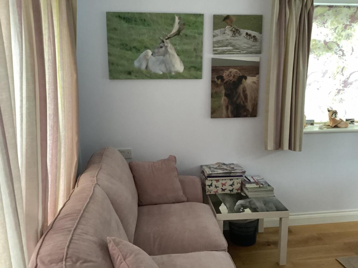 Exmoor Retreat On Two Moors Way Withypool מראה חיצוני תמונה