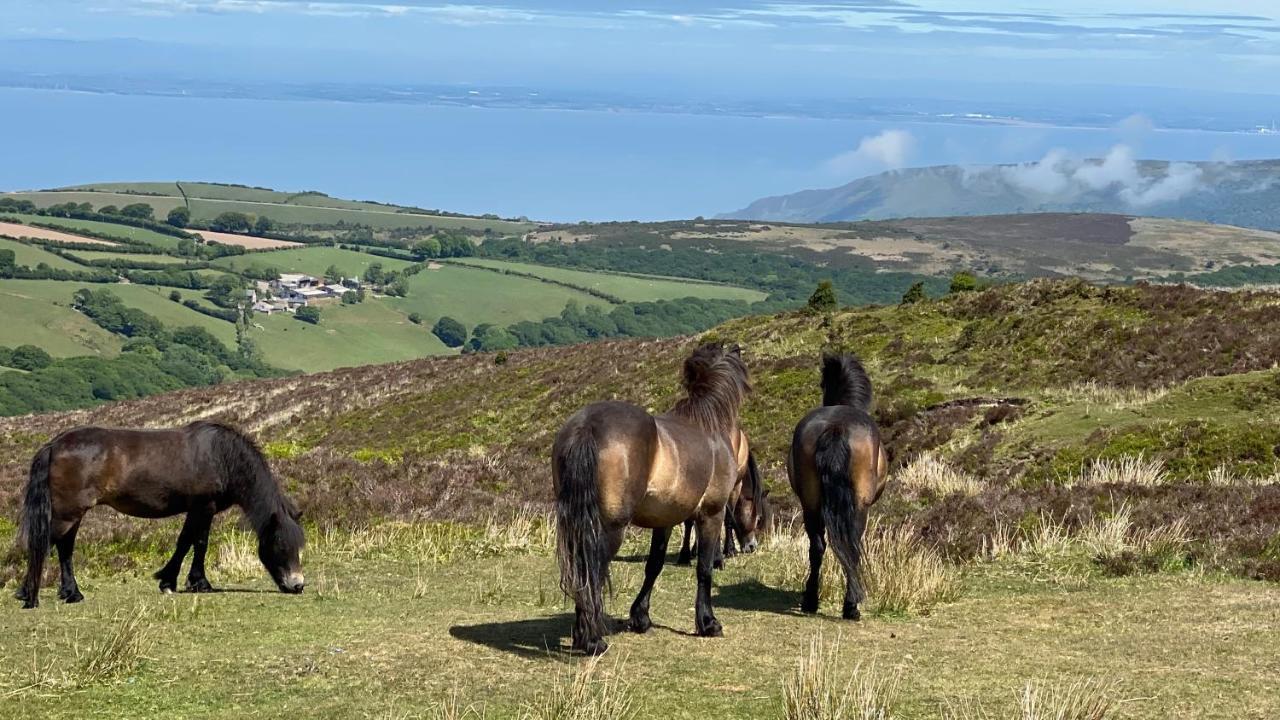 Exmoor Retreat On Two Moors Way Withypool מראה חיצוני תמונה