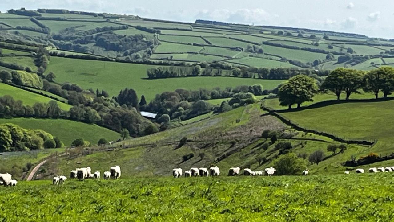 Exmoor Retreat On Two Moors Way Withypool מראה חיצוני תמונה