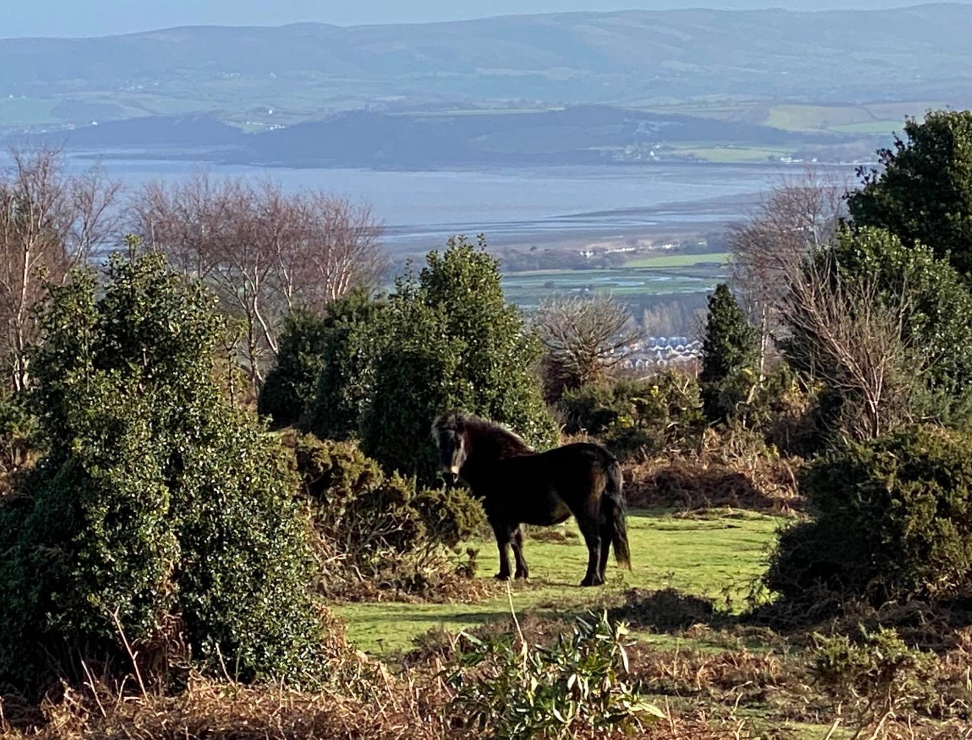 Exmoor Retreat On Two Moors Way Withypool מראה חיצוני תמונה