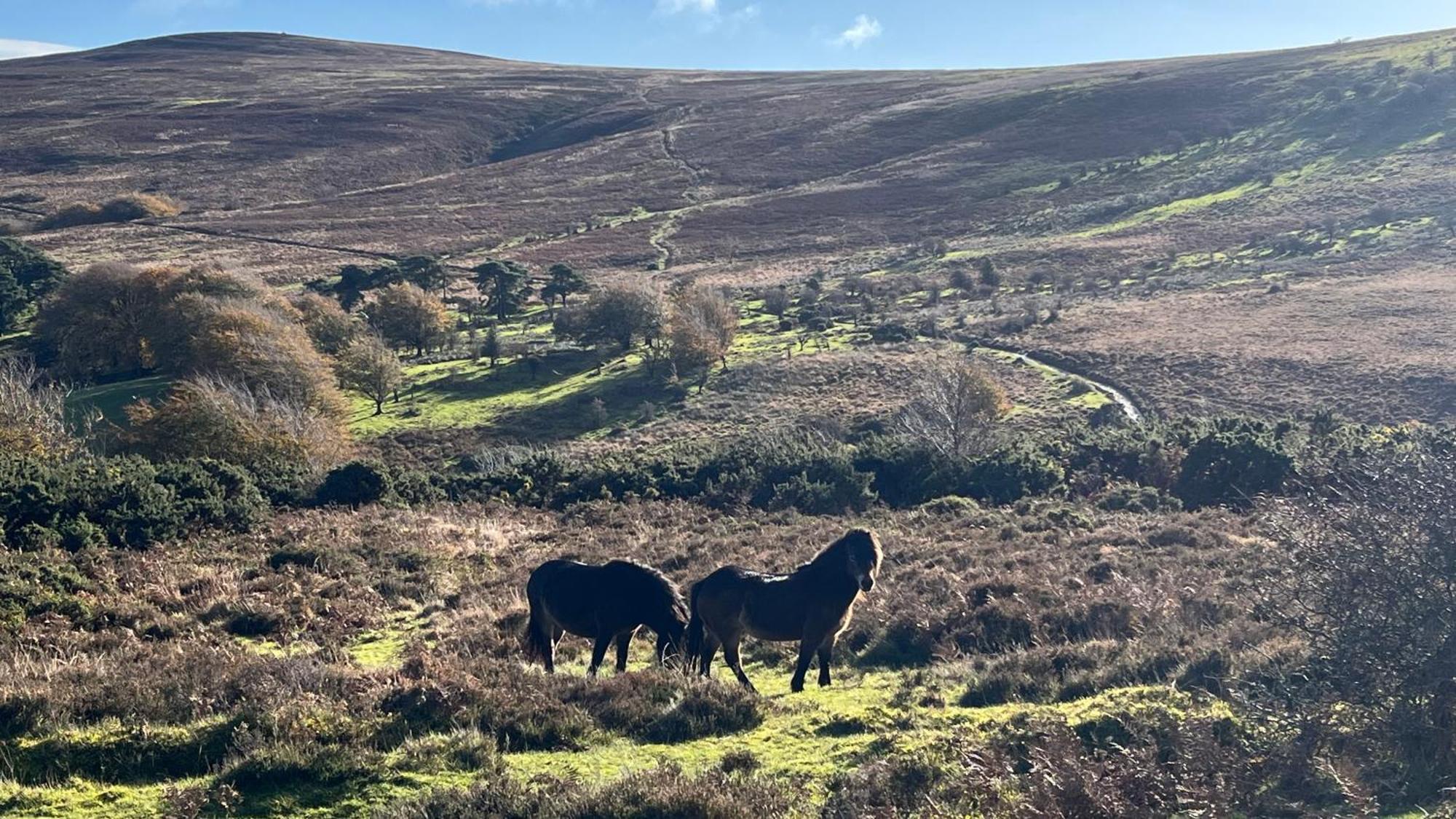 Exmoor Retreat On Two Moors Way Withypool מראה חיצוני תמונה